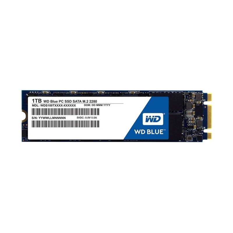 WD BLUE 1TB 560/530MB/s M2 SATA SSD WDS100T2B0B